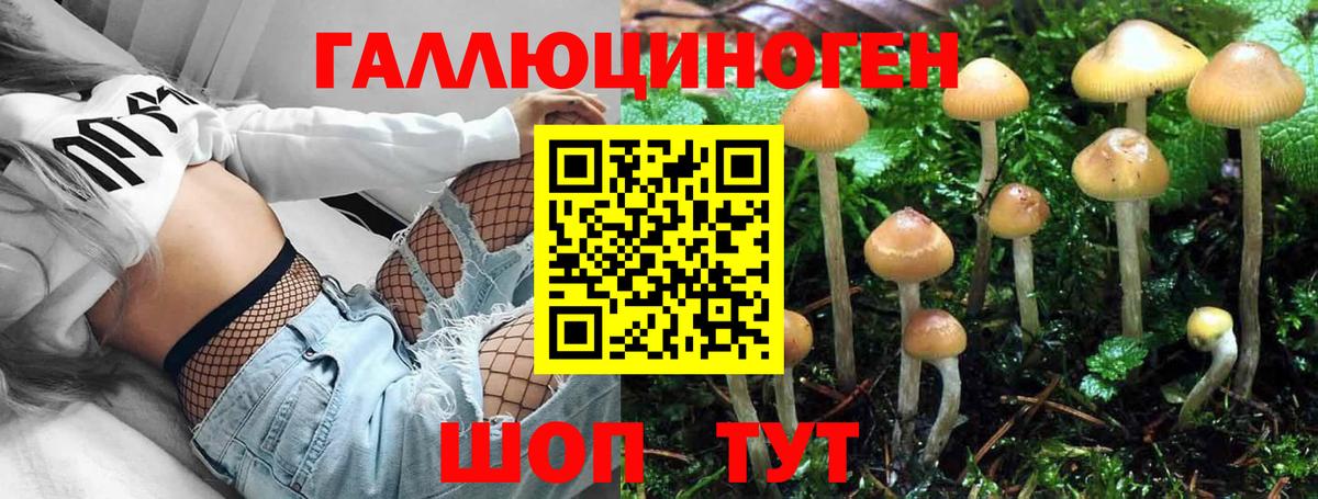 Псилоцибиновые грибы прущие грибы  Вход с VPN  Орск 