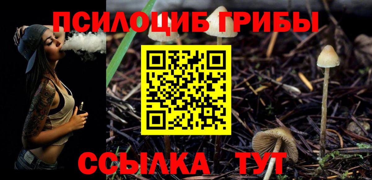 Галлюциногенные грибы прущие грибы Орск